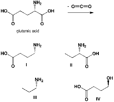 The enzyme-catalyzed decarboxylation of glutamic acids leads to gamma-amino-butyric acid (GABA) , which is a common neurotransmitter in the human brain. What is the chemical structure of GABA?   A)  I B)  II C)  III D)  IV