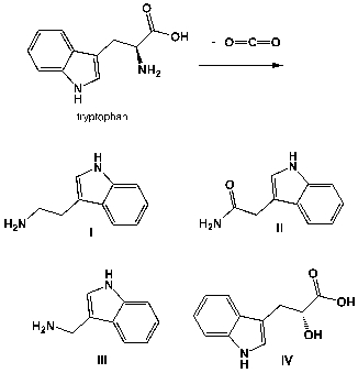 The amino acid tryptophan undergoes enzymatic decarboxylation to tryptamine, which is a neuromodulator in mammalian brains. What is the correct structure of tryptamine?   A)  I B)  II C)  III D)  IV