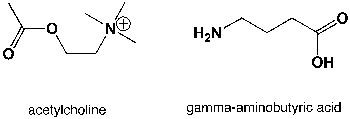Which region in the IR spectrum could be used to distinguish between the neurotransmitters acetylcholine and 4-aminobutanoic acid ?   A)  2900-3000 cm<sup>-1</sup> B)  1360-1380 cm<sup>-1</sup> C)  3100-3500 cm<sup>-1</sup> D)  2400-3500 cm<sup>-1</sup>