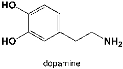 Dopamine is a neurotransmitter occurring in a wide variety of animals, including both vertebrates and invertebrates. What is the classification of the amine?   A)  primary aromatic B)  primary aliphatic C)  secondary aromatic D)  tertiary aliphatic