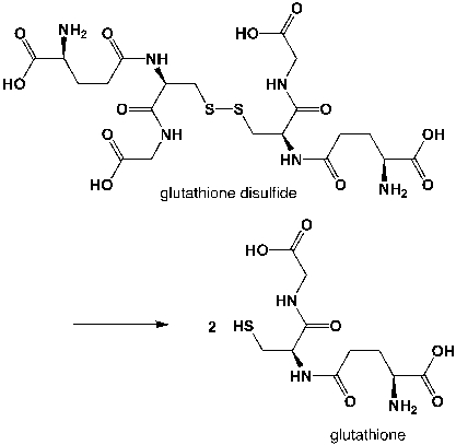 Classify the following reaction:   A)  oxidation B)  reduction C)  neither D)  both