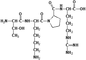 Tuftsin (named after Tufts University)  has important functions in the human immune system. It binds to stereospecific receptors at the surface of macrophages and leukocytes, stimulating their bactericidal and tumoricidal activity. All stereocenters in this molecule have S-configurations. How many stereoisomers of tuftsin exist, which do not have the correct stereochemistry for receptor-binding?   A)  7 B)  15 C)  31 D)  32