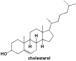 How many primary carbons are in cholesterol?   A)  2 B)  3 C)  4 D)  5