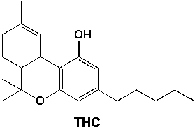 How many primary carbons are in THC (tetrahydrocannabinol, the main psychoactive substance found in the Cannabis plant) ?   A)  2 B)  3 C)  4 D)  5