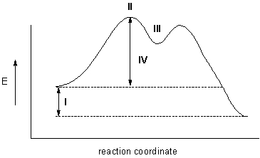Which point on the energy diagram represents the intermediate?   A)  I B)  II C)  III D)  IV