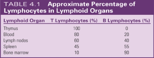 Match the lymphoid organs with the approximate percentage of T lymphocytes. See Table 4-1.    -Bone marrow A) 80% B) 60% C) 20% D) 10%