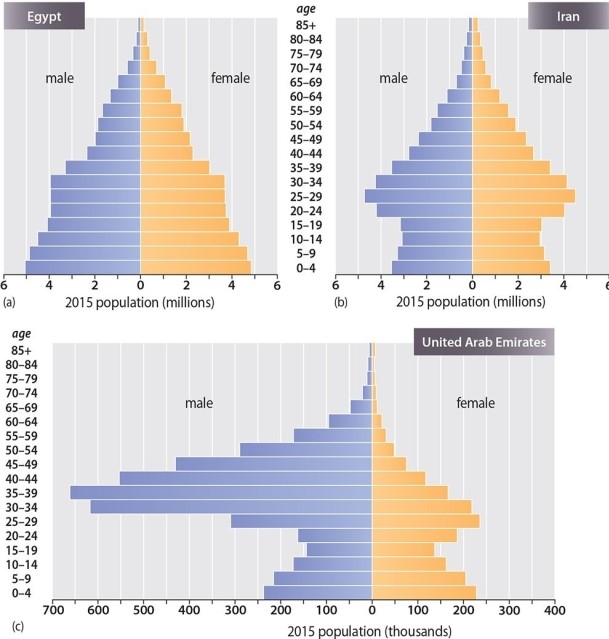 Which of the following statements is TRUE regarding the population pyramids of Egypt and Iran?   A) Iran has a younger population than Egypt. B) Iran is growing faster than Egypt. C) Egypt is growing faster than Iran. D) Egypt and Iran are growing at roughly the same rate. E) Women have more children in Iran than do women in Egypt.
