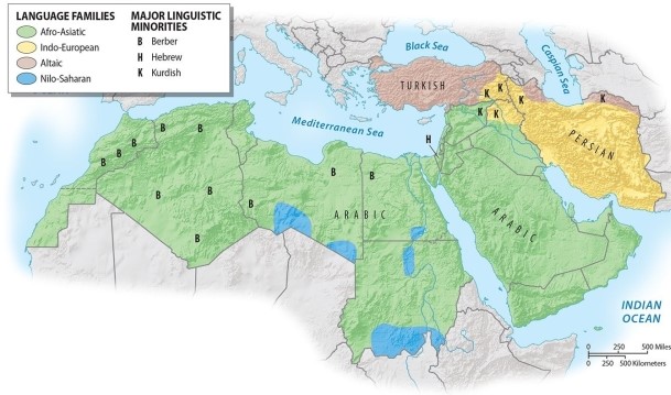 Discuss the languages of North Africa and Southwest Asia, paying special attention to the non-Arab languages in the region.   