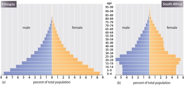 Which of the following statements is TRUE regarding the population pyramids of Ethiopia and South Africa?   A) South Africa has a younger population than Ethiopia B) There are roughly an equal number of males and females in their 30s in South Africa C) South Africa is growing faster than Ethiopia D) Women have more children in South Africa than do women in Ethiopia E) Ethiopia is growing faster than South Africa