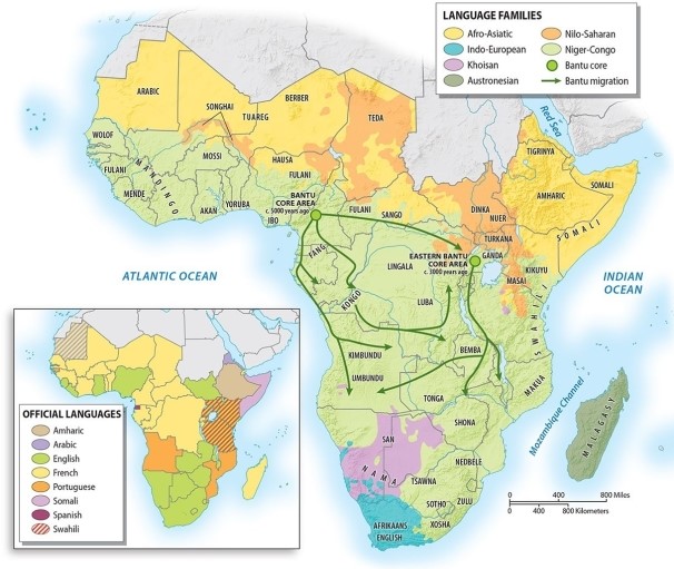 What is the most important of the indigenous language groups of Sub Saharan Africa?   A) Austronesian B) Khoisan C) Indo-European D) Nilo-Saharan E) Niger-Congo