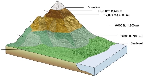 What is the correct order of ecosystems in altitudinal zonation, starting at lowest elevation and going to highest elevation?   A) (1) tierra templada; (2) tierra fria; (3) tierra helada; (4) tierra caliente B) (1) tierra templada; (2) tierra helada; (3) tierra caliente; (4) tierra fria C) (1) tierra helada; (2) tierra caliente; (3) tierra templada; (4) tierra fria D) (1) tierra fria; (2) tierra helada; (3) tierra caliente; (4) tierra templada E) (1) tierra caliente; (2) tierra templada; (3) tierra fria; (4) tierra helada