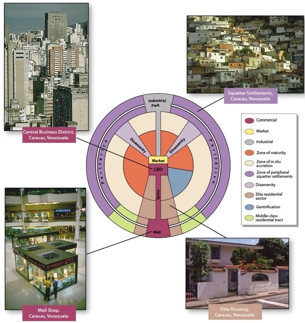 In the Latin American city model, what land use is located along the  spine ?   A) the colonial core of the city B) unpaved roads C) a ring road or beltway surrounding the city D) superior services, roads, and transportation E) squatter settlements