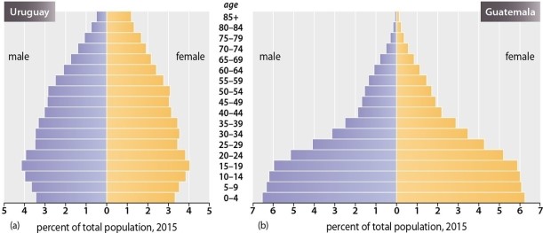 Which of the following statements is TRUE regarding the population pyramids for Uruguay and Guatemala?   A) Uruguay has a higher rate of natural increase (RNI) than does Guatemala B) Guatemala has a higher RNI and TFR than does Uruguay C) The population of Uruguay is generally younger than that of Guatemala D) Guatemala has a lower total fertility rate (TFR) than does Uruguay E) Uruguay will have significant population growth in the coming decades