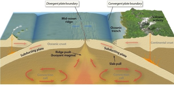 Discuss the relationship between plate tectonics and the location of seismic activity around the world.   