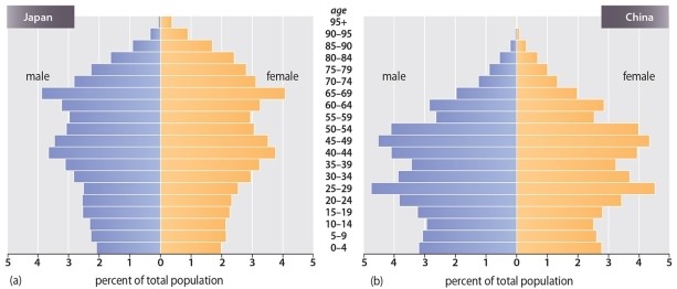 Which of the following statements is TRUE regarding the population pyramids of China and Japan?   A) Japan and China both have high birth rates. B) Japan is growing faster than China. C) Japan has a younger population than China. D) Japan faces a critical shortage of young people in future generations. E) Both Japan and China exhibit high growth.