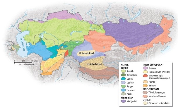 What is the most common language group in Central Asia, based on the number of native speakers?   A) Turkic B) Mongolian C) Tibetan D) Farsi E) Indo-European