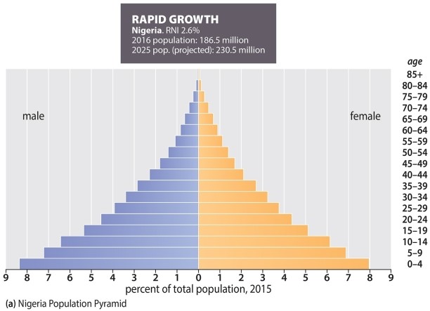 The following population pyramid is indicative of   A) slow growth B) rapid growth C) zero growth D) a country with very few children E) negative growth