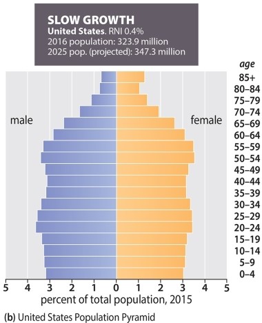 The following population pyramid is indicative of   A) a nation in Stage 1 of the Demographic Transition Model B) rapid growth C) a nation in Stage 2 of the Demographic Transition Model D) slow growth E) a nation with large numbers of young children