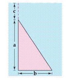 Find the fluid force of a triangular vertical plate submerged in water, where the dimensions are given in meters   and the weight-density of water is 9800 newtons per cubic meter.   A)    B)    C)    D)    E)   
