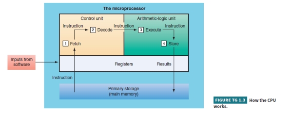 Parts: control unit = sequentially accesses program instructions, decodes them, and controls the flow of data to and from the ALU, registers, caches, primary storage, secondary storage, and various output devices ALU = performs mathematical calculations and makes logical comparisons Registers = high-speed storage areas that store very small amounts of data and instructions for short periods  