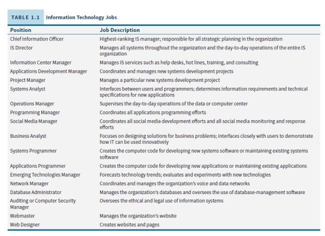 Techie students will probably choose jobs like systems programmer, applications programmer, database administrator, webmaster, and web designer; business-oriented students should describe the other positions with those more tech-willing focusing on jobs like network manager, auditing or computer security manager, programming manager, operations manager, and systems analyst.  