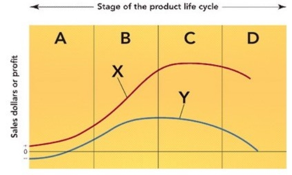   Figure 10-1 -Figure 10-1 above represents the stages of the product life cycle. What does the curve labeled Y represent? A)  total variable costs B)  total fixed costs C)  total industry profit D)  total industry sales revenue E)  total research and development costs
