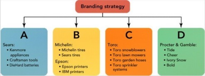   Figure 10-7 -Companies can employ several different branding strategies. In Figure 10-7 above, Box A represents a ________ strategy. A)  retailer branding B)  multiproduct branding C)  multibranding D)  private branding E)  mixed branding