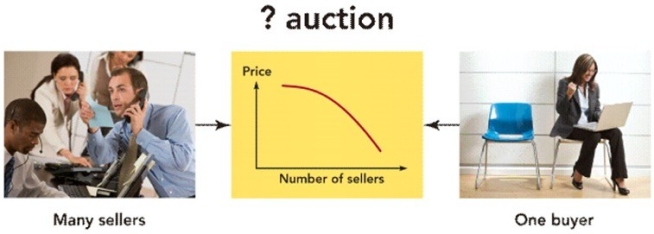   Figure 5-5b -Which type of auction does Figure 5-5b represent? A)  traditional auction B)  inverse auction C)  reverse auction D)  horizontal auction E)  reciprocal auction