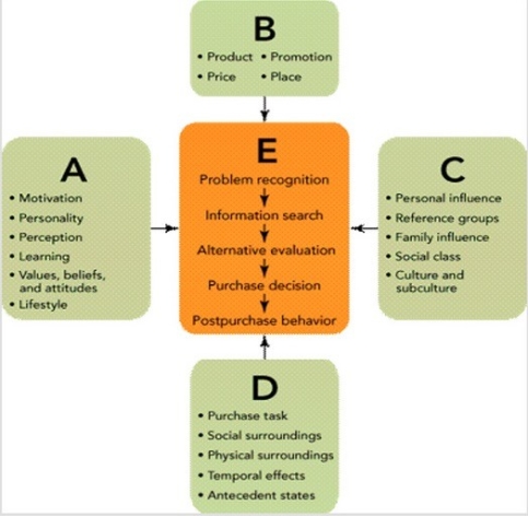   Figure 4-5 -In Figure 4-5, C represents the ________ influences that can affect the consumer purchase decision process. A)  sociocultural B)  economic C)  environmental D)  situational E)  market-dominated