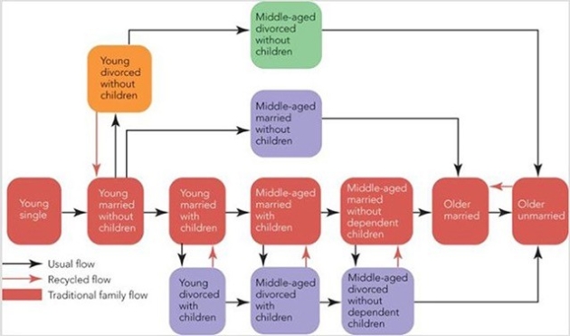   Figure 4-8 -Figure 4-8 illustrates the traditional progression as well as contemporary variations of A)  the family scale. B)  the family life cycle. C)  the family continuum. D)  household socialization. E)  household patterning.