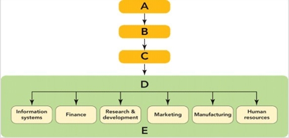   Figure 2-1 -In Figure 2-1, E represents the ________ operating at the lowest strategic level. A)  board of directors B)  corporate level C)  departments D)  executives E)  strategic business unit level