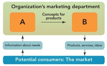   Figure 1-2 -In Figure 1-2,  A  represents ________ and  B  represents ________. A)  decisions by management; purchases by customers B)  employees efforts; stakeholder rewards C)  sales department; manufacturing department D)  suppliers; distributors E)  discovering consumer needs; satisfying consumer needs