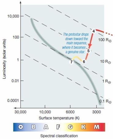   The red evolutionary track illustrated in the figure above (similar to fig 19.6 in your textbook) ,that goes from point 4 to 5 to 6 to 7 shows: A) a star nearing the end of its life and becoming a red giant. B) a star nearing the end of its life and becoming a white dwarf. C) a protostar forming into a main sequence star. D) the changes that happen to a star during its red giant phase. E) the locations on the H-R diagram for a small cluster of stars.