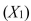 SCENARIO 14-2 A professor of industrial relations believes that an individual's wage rate at a factory (Y) depends on his performance rating   and the number of economics courses the employee successfully completed in college   The professor randomly selects 6 workers and collects the following information:   -Referring to Scenario 14-2, for these data, what is the estimated coefficient for performance rating,   A) 0.616 B) 1.054 C) 6.932 D) 9.103