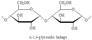 Draw a structure showing the most common linkage between glucose units found in glycogen.  