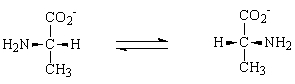 <strong>Which of the following is an example of an oxidation reaction?</strong> A)   B)   C)   D) Ala-Ser + H<sub>2</sub>O → Ala + Ser E) None of the answers is correct. <div style=padding-top: 35px> 