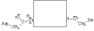 Complete the structure of the catalytic triad of chymotrypsin by drawing the proper structure of the missing residue side chain in the box provided. Show the proper hydrogen bonding involved in this triad.  