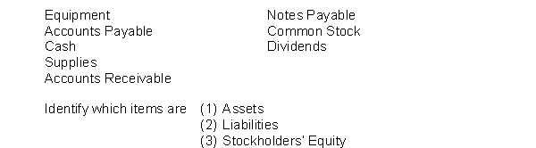 Magnolia Electric Car Cleaning has the following accounts:  