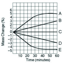 Five dialysis bags, constructed of a type of membrane that is permeable to water and impermeable to sucrose, were filled with various concentrations of sucrose and then placed in separate beakers containing an initial concentration of 0.6 M sucrose solution. At 10-minute intervals, the bags were weighed, and the percent change in mass of each bag was graphed.   Which line in the graph represents the bag that contained a solution isotonic to the 0.6 M solution at the beginning of the experiment? A)  A B)  B C)  C D)  D 