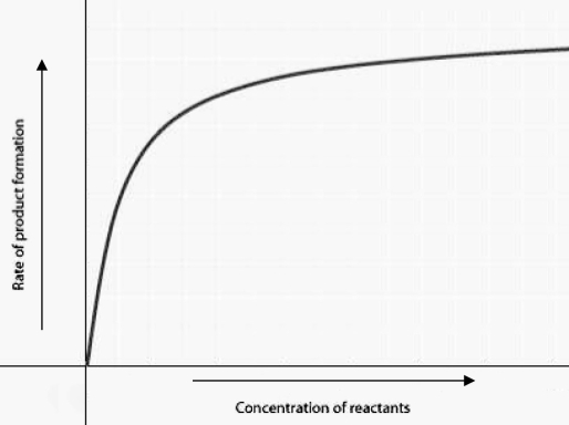   The figure displays the relationship between initial rate of product formation and reactant concentration in an enzyme-catalyzed reaction with a fixed amount of enzyme. Which of the following statements best explains the shape of the rate curve at high reactant concentration? A)  Feedback inhibition by product occurs at high reactant concentrations. B)  Most enzyme molecules are occupied by substrate at high reactant concentrations. C)  The reaction nears equilibrium at high reactant concentrations. D)  The rate of the reverse reaction increases at high reactant concentrations. 