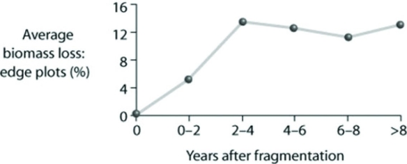 Use the following figure to answer the question.   Which of the following claims about the edge effect is the most consistent with the data shown in the figure? A)  Biomass declines along edges of forest fragments. B)  Biomass increases along the edges of forest fragments. C)  Species diversity decreases along the edges of forest fragments. D)  Fragmentation does not affect biomass. 