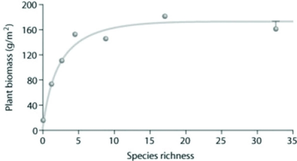 Use the following figure to answer the question.   Which of the following conclusions is best supported using the data in the figure? A)  As species richness changes, plant biomass remains consistent. B)  As species richness increases, plant biomass increases. C)  As species richness increases, plant biomass increases and then levels off. D)  As species richness decreases, plant biomass increases. 