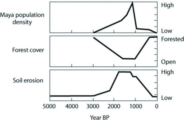 Use the graphs to answer the question.   Copyright © 2003 American Institute of Biological Sciences. (Foster, D.R., F. Swanson et al., The importance of land-use and its legacies to ecology and environmental management. BioScience 53:77-88 [2003].)  Archeological, fossil, and geological data provide information on the Mayan populations and their environment in Mexico, in the Caribbean state of Yucatán. Based on the figure, what can you conclude about the history of land use in the southern Yucatán? A)  Massive soil erosion caused the Mayan population to crash. B)  Reduction in forest cover caused the Mayan population to crash. C)  As Mayan population increased, deforestation increased, probably leading to increased soil erosion. D)  This Mayan population practiced sustainable development. 