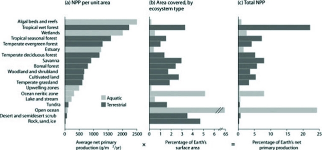 Use the following figure to answer the question.   Which ecosystem, if completely converted by humans to cultivated land, would have the largest negative impact on total NPP? A)  temperate evergreen forest B)  boreal forest C)  savanna D)  woodland and shrubland 