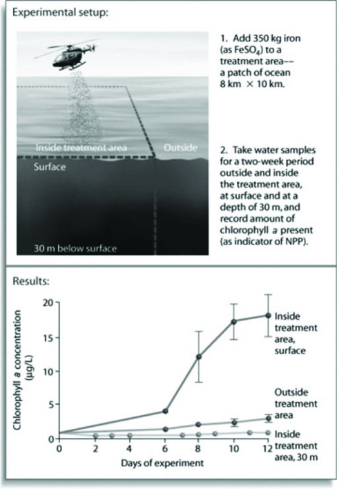 Use the following figure to answer the question.   After looking at the evidence from the experiment in the figure, which of the following is the most accurate conclusion about productivity in marine ecosystems? A)  Nothing can be said based on this information. B)  Marine organisms break down iron for energy and thus for productivity. C)  Iron availability limits productivity. D)  Productivity increases when chlorophyll a is added. 