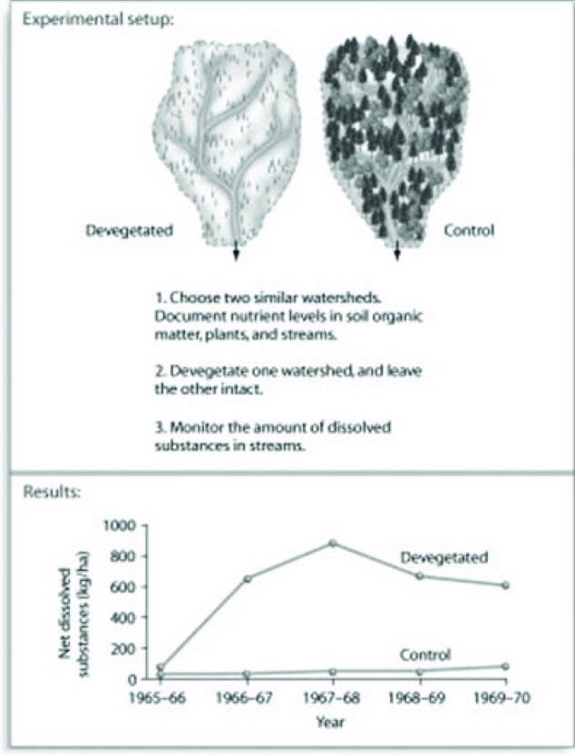 Use the following figure to answer the question.   Based on the figure, which of the following is the most complete explanation for the results? A)  nutrient levels in the control watershed are being lost due to evapotranspiration from leaves B)  nutrient levels remaining in the control plots are lower C)  nutrient levels remaining in the devegetated watershed are lower D)  nutrients dissolved in water are lost from the control area more than the devegetated area 