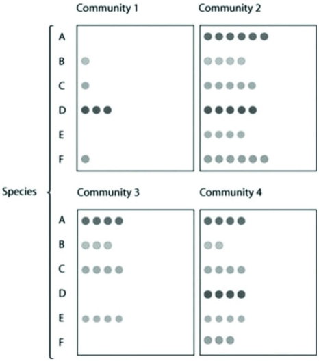 Use the figure to answer the following question.   In the figure, species A through F are found among four communities, with the number of circles representing their abundance. Which community has the highest diversity? A)  an invasive species B)  a keystone species C)  a primary producer D)  a secondary consumer 
