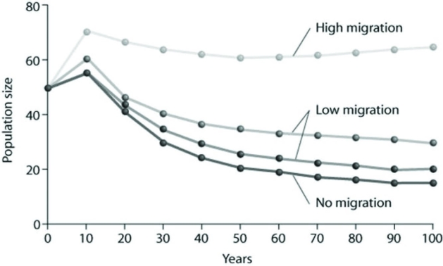 Use the graph to answer the following question.   Based on the data provided, what factor of those listed below appears to be the most important in stabilizing the population from its initial size over the subsequent 100 years? A)  The absence of migration B)  A low migration rate C)  A high migration rate 
