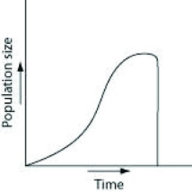 In the process of researching how to manage a large game ranch, historical accounts indicated that a species of deer that once lived there had been extirpated. After doing some research to determine what might be an appropriately sized founding population, managers reintroduced deer to the ranch. The population then increased for several generations, and the managers graphed the number of individuals (vertical axis)  against time, or the number of generations (horizontal axis) . If no natural predators are impacting the population, which of the following graphs best represents the population? A)    B)    C)    D)    