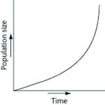 Which of the following graphs best illustrates the growth curve of a small population of rodents that has increased to a static carrying capacity? A)    B)    C)    D)    